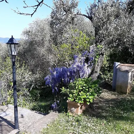 Con Piscina E Parcheggio - Il Territorio Villa