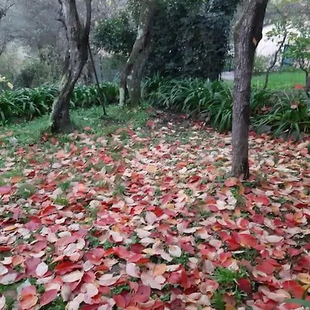 Con Piscina E Parcheggio - Il Territorio