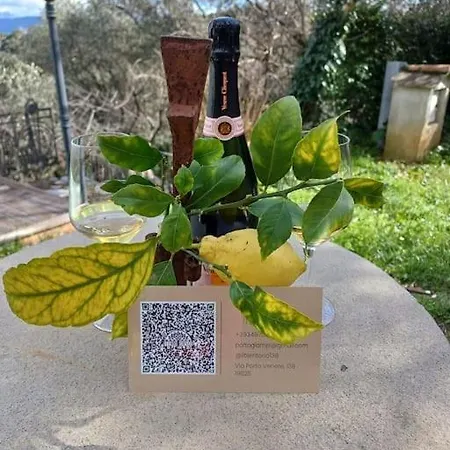 Villa Con Piscina E Parcheggio - Il Territorio *