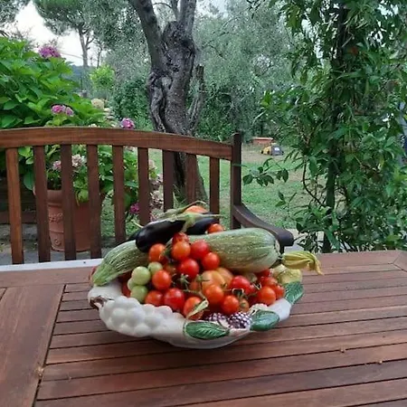 Con Piscina E Parcheggio - Il Territorio Villa